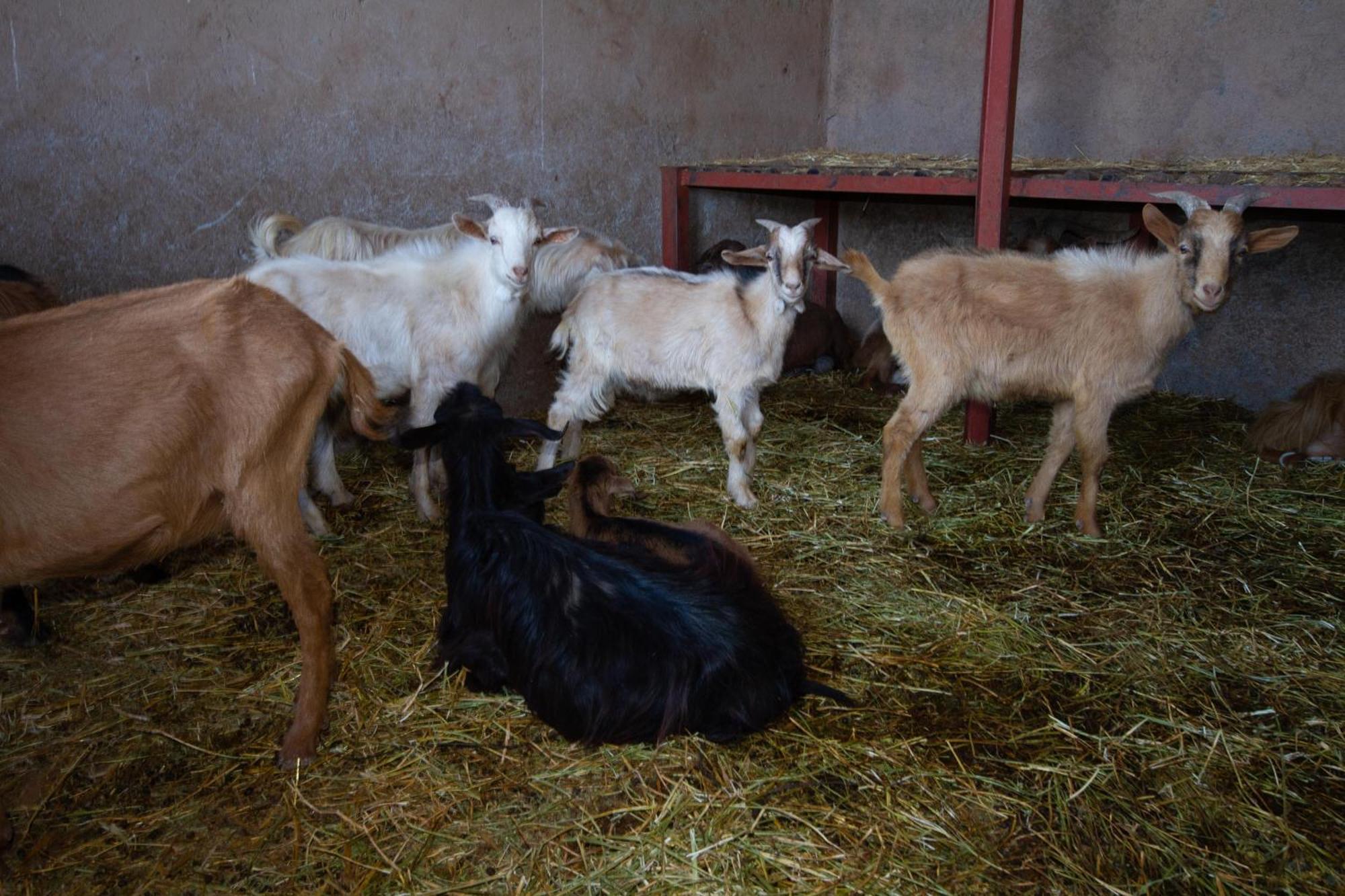 La Ferme De Lalladom Tameslouht Exteriér fotografie