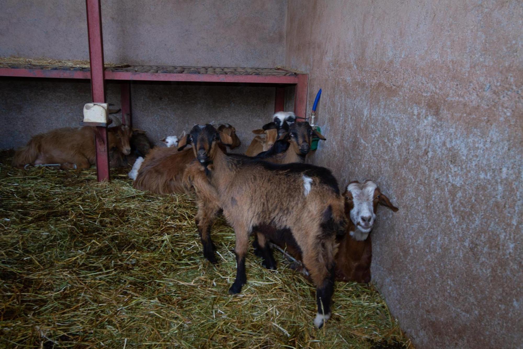 La Ferme De Lalladom Tameslouht Exteriér fotografie
