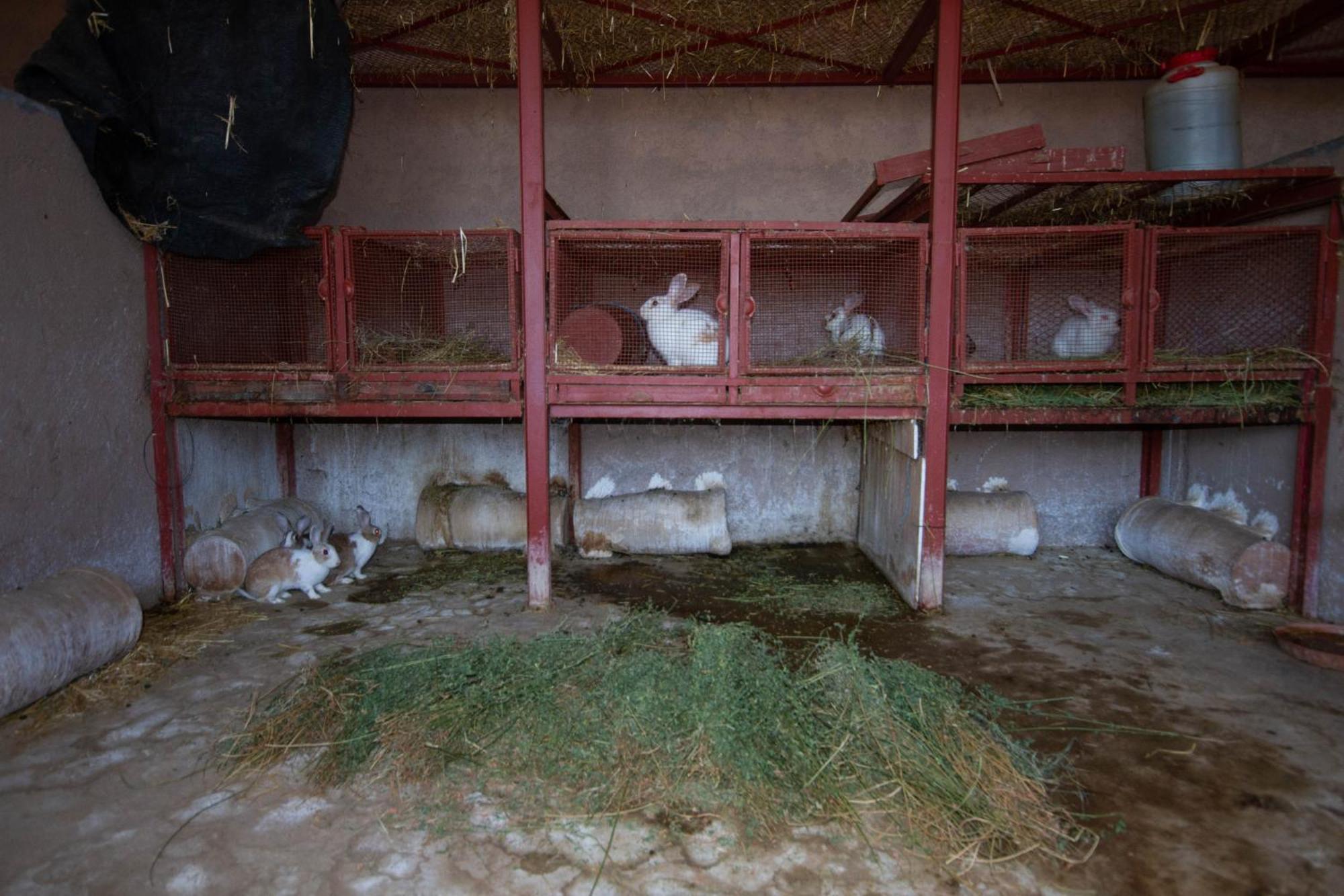 La Ferme De Lalladom Tameslouht Exteriér fotografie
